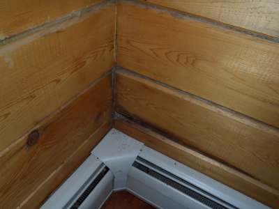 Log home water damage